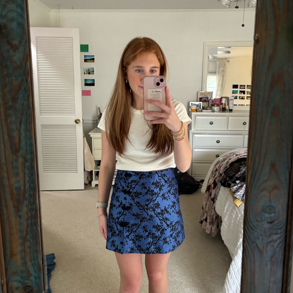 Zara Mini Skirt